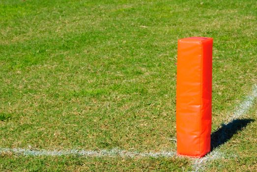 Orange Plyon on a football field.