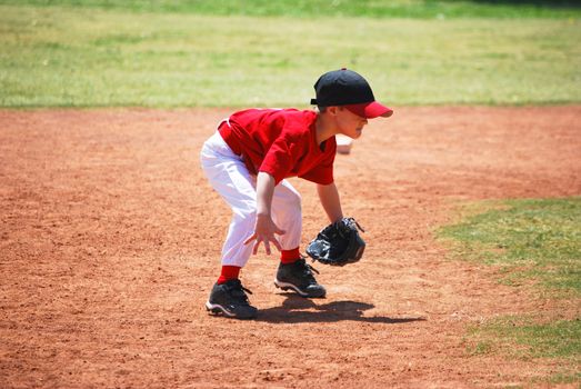 Little league short stop in ready position.