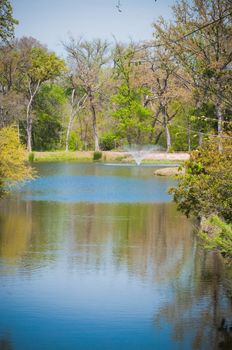 Vertical view of a beautiful water fountain at a large pond.