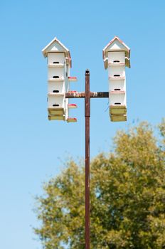 Group of white bird houses on a pole with tree and blue sky in background.