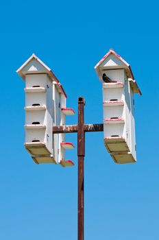 Group of white bird houses up high on a pole with blue sky in background.
