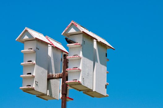 Up-close view of multiple bird houses in the sky