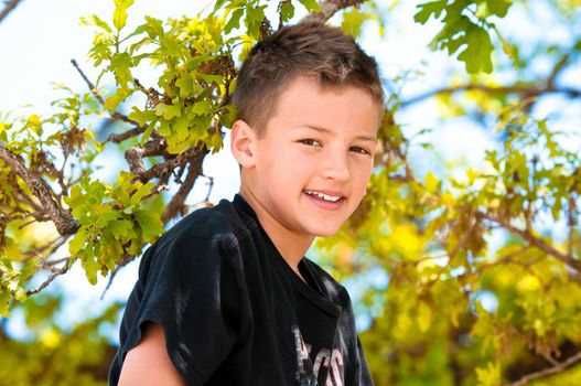 Cute young boy smiling up in a tree