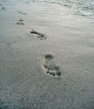 Traces on sea sand going to you
