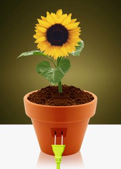 modern energy-saving concept, sun flower, garden pot, socket and plug.