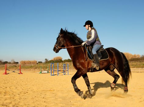 training in dressage for a black horse and her riding girl