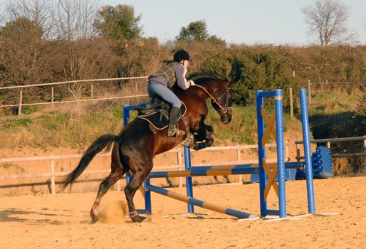 training for competition of jumping for an horse and her riding girl