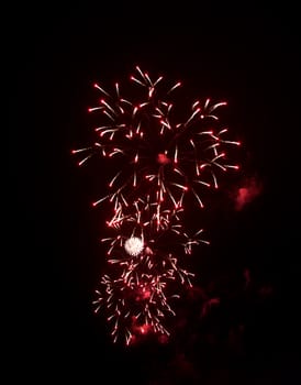 Salute Fireworks