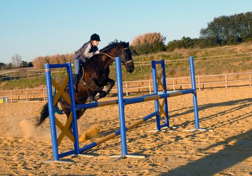 training for competition of jumping for an horse and her riding girl