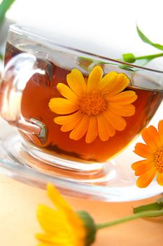 Curative tea with calendula flowers over orange back