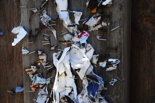 Leftover staples and pieces of paper on bulletin board.