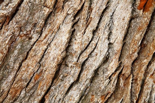 fragment of old wooden surface of brown color