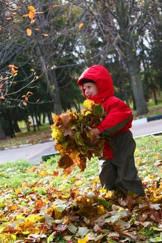 smiling boy plays with yellow leaves in an autumn time