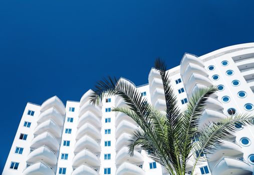 White residential building and palm tree against the dark blue sky