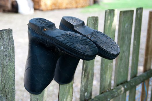 old rubber boots drying on a wooden fence