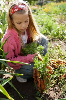 Girl in vegetable garden hold carrots