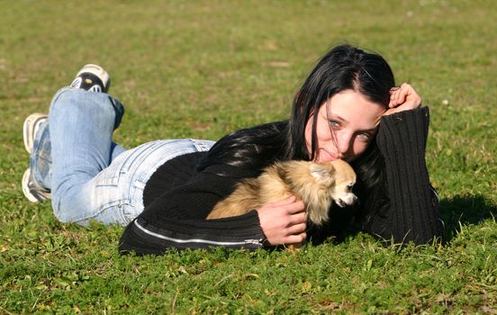 portrait of a cute purebred chihuahua witn a teenager