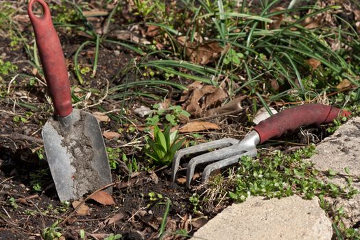 A trowel and a rake ready to use in a flower garden.