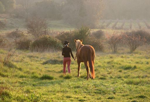 young woman and her brown stallion in a field