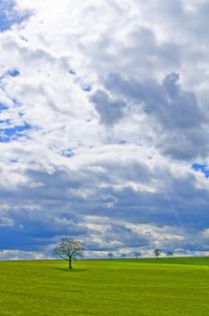 green meadow with tree and clouds