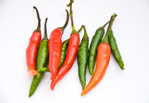 red and green chili on white background