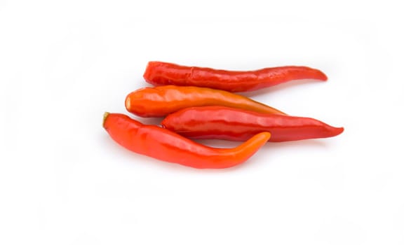 Red  chili on white background