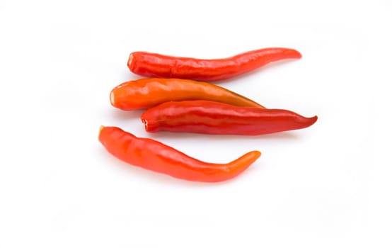 Red  chili on white background