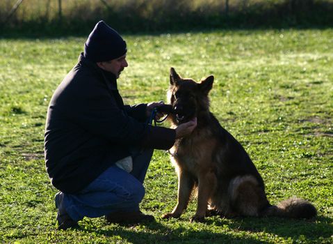 portrait of a  purebred german shepherd and his owner outdoors