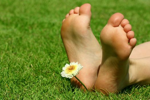 children's legs lying on the grass, flower decoration