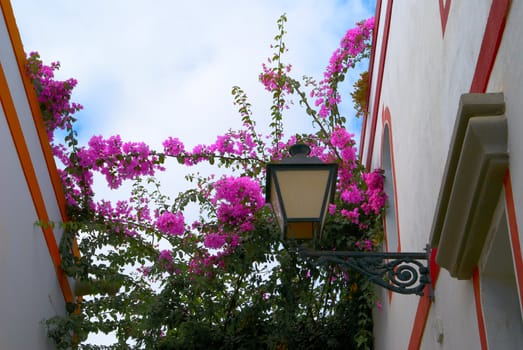 Building decorated with green plants and by red flowers Spain