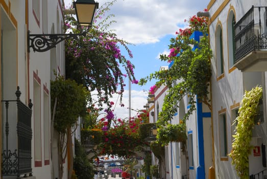 Building decorated with green plants and by red flowers Spain