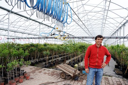 An image of a young worker in a greenhouse
