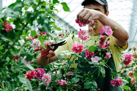 An image of a young worker in a rosary