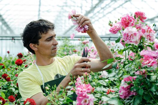 An image of a young worker in a rosary