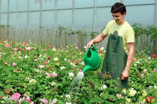 An image of a young gardener in a greenhouse