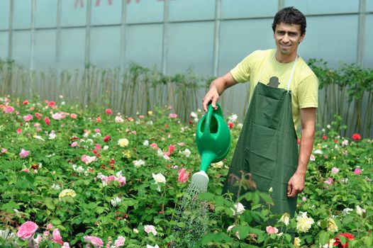 An image of a young gardener in a greenhouse