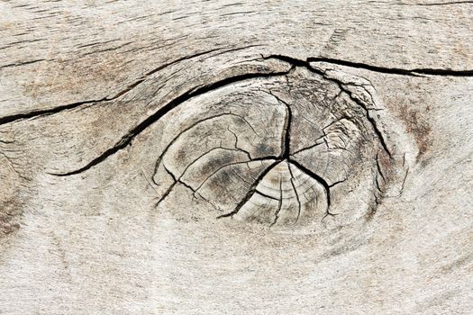 Natural texture of old wood with crackles 