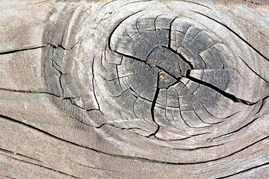 Texture of old gray wood board with cracks 