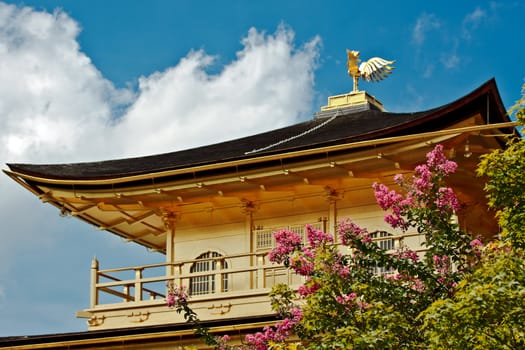 The Golden Pavilion (Kinkakuji Temple) in Kyoto, Japan with blooming pink flowers
