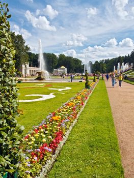 Beautiful lawn and flowers under a cloudy sky in Peterhof in a sunny day