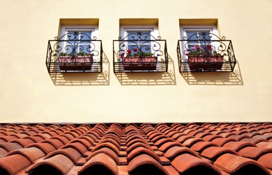 European style tile roof and windows with flowerpots