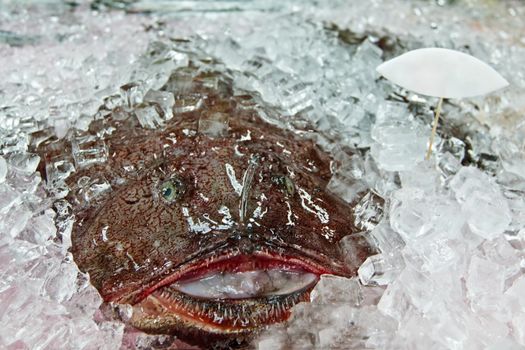 Fresh angler (Lophius piscatorius) on ice in a supermarket