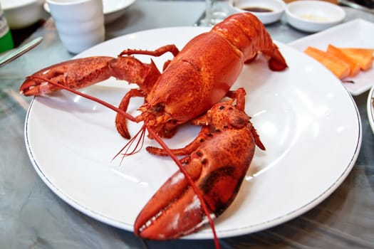 Big red bolied lobster on a white plate served 