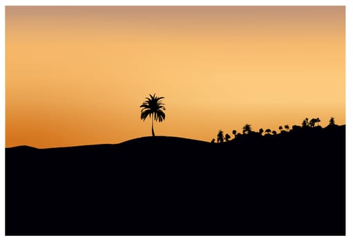 The dark gold silhouette of sand and trees in the south of the island at sunset