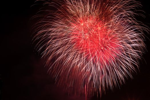 Beautiful red fireworks on black sky during fireworks festival in Seoul