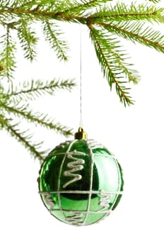 decoration ball on fir branch, white background