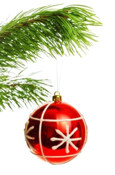 decoration ball on pine branch, white background