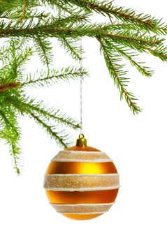 yellow decoration ball on fir branch