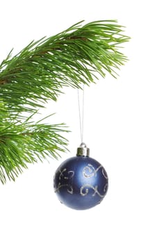 blue decoration ball on fir branch