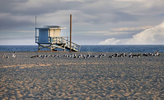 Lifeguard Station on Venice Beach in California